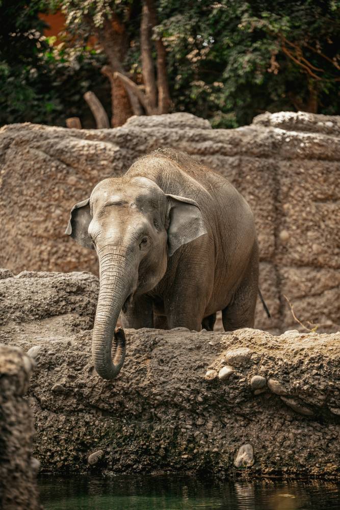 Leukste dierentuin